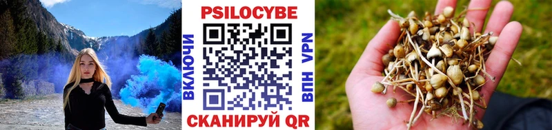 где продают   Старая Купавна  Галлюциногенные грибы MAGIC MUSHROOMS 