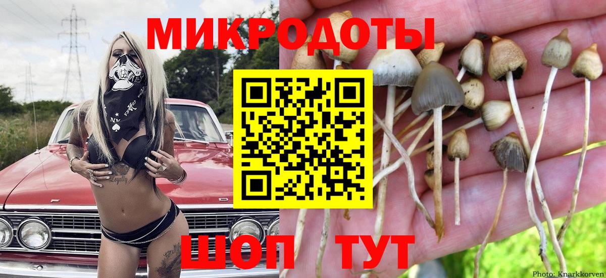 Галлюциногенные грибы ЛСД Старая Купавна